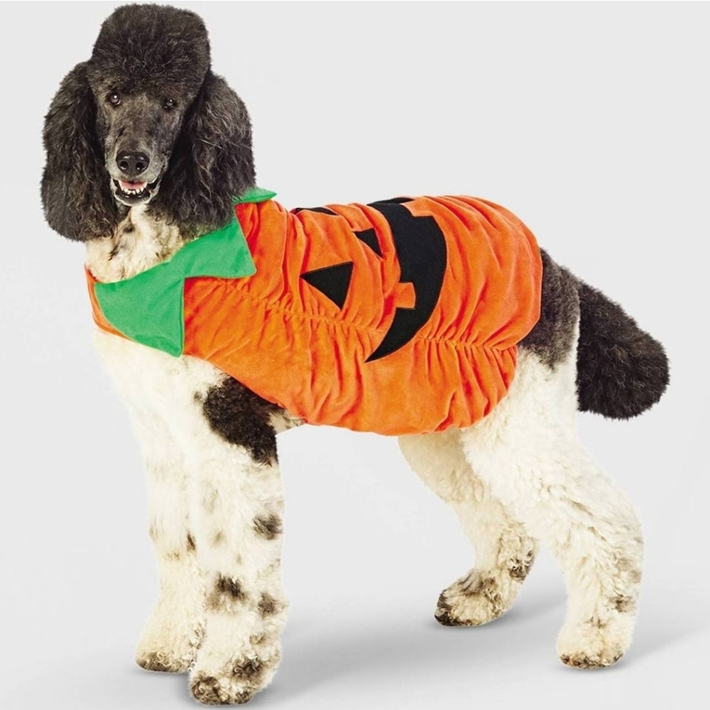Pet Pumpking Halloween Costumes Size Large NEW